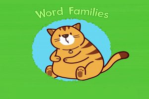 儿童自然拼读《Word Families》48本家族书高清绘本