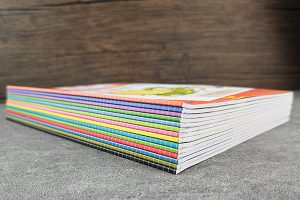 儿童数学逻辑思维启蒙《罗吉狗数学游戏系列》全14册PDF绘本