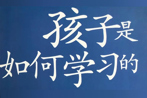 诸葛越《孩子如何学习》精读班