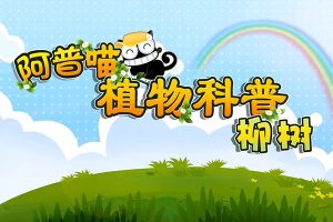 儿童科普动画片《阿普喵植物科普》全26集