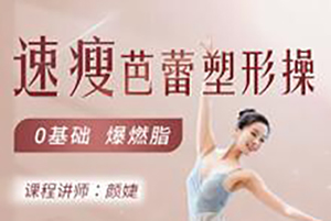 颜婕《塑形芭蕾训练课》从基础到核心17天训练教学视频