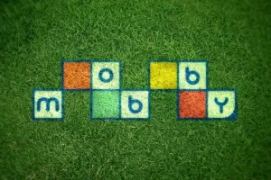 摩比课堂-幼儿园中班数学思维秋季课程