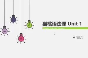 英语语法还能这样学《猫刀老师猫桃实用语法课》