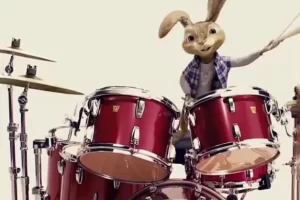 【芝麻学社】ahashool我的第一堂乐理课-乐理启蒙课