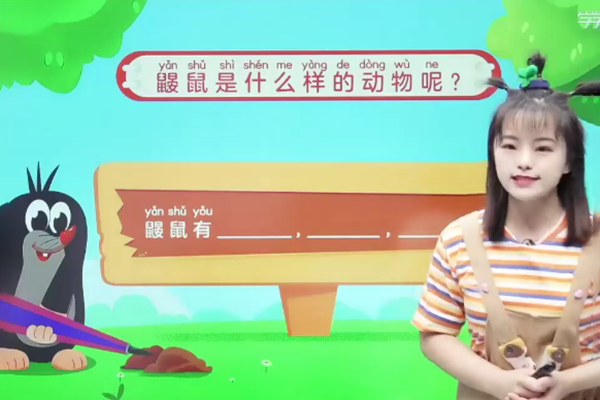 杨洋幼儿园大班语文思维课-2021年春季