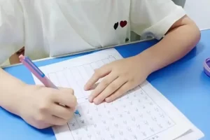 一二年级儿童练字视频课程《小学生写字课》共422课