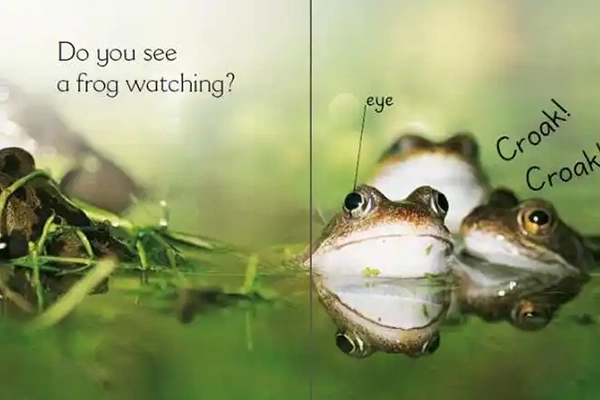 幼儿英语分级阅读预备级60集mp3音频(适合2~6岁孩子磨耳朵)