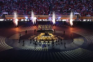 少年得到-十万个为什么・奇趣世界杯-探寻历史上世界杯的奇趣事件