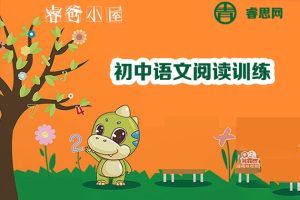 睿爸小屋-初中语文阅读训练47讲视频课程