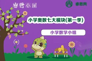 睿爸小屋-小学奥数七大模块(第一季)全13讲视频课程