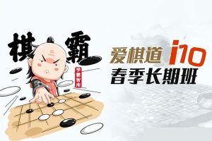 王若然老师围棋课：爱棋道春季i10长期班32课时+4复习课