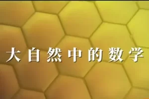 芝麻学社-大自然中的数学-动植物中的数学