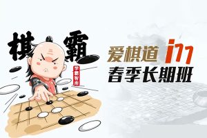 王若然老师围棋课：爱棋道春季i11长期班32课时+4复习课