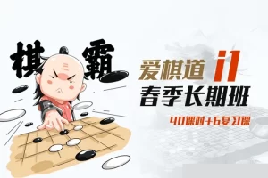 庄文老师围棋课：爱棋道春季i1长期班40课时+6复习课