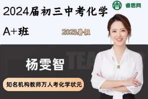 【杨雯智化学】2024届杨雯智初三中考化学A+班-2023暑假