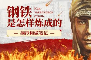 经典文学名著《钢铁是怎样炼成的》PDF电子书