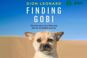 《寻找戈壁：一只心胸开阔的小狗》英文PDF电子书