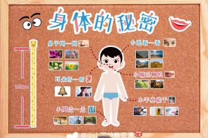 儿童早教课程《身体的秘密：给宝宝的第一堂人体认知课》全15集