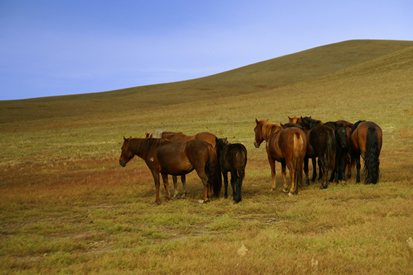 【廉思佳物理】2024届廉思佳初三中考物理A+班-2023年暑假