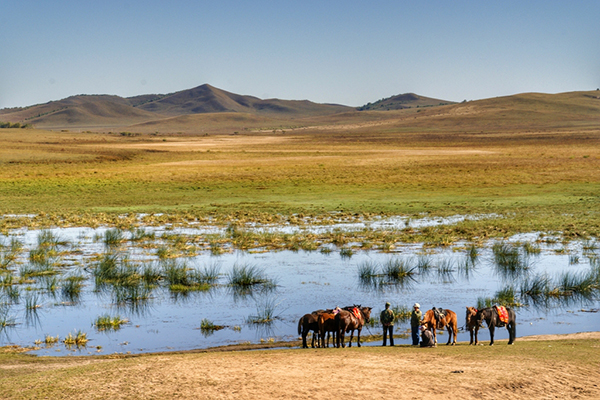 钱儿爸《超级北欧神话》第一季+第二季全124集