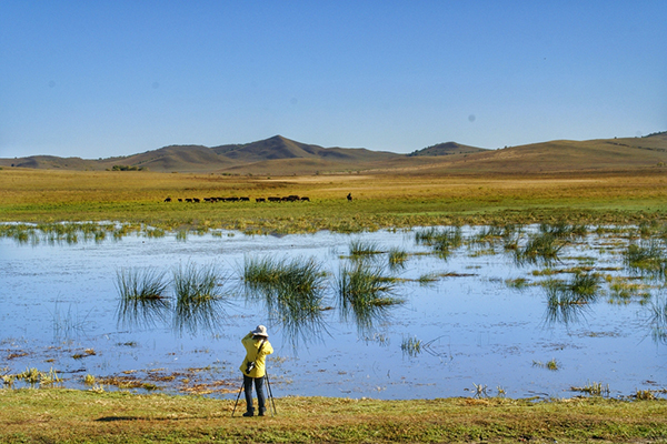 小恐龙趣味学堂全52集