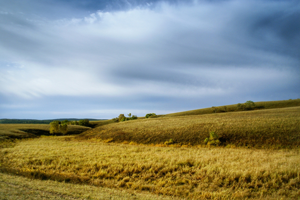 米粒妈·美国金牌老师精讲经典英文绘本100节视频课程