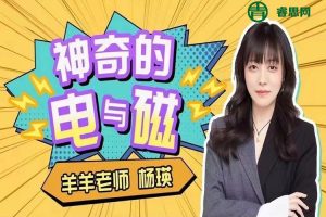 杨瑛物理-羊羊老师初中物理《神奇的电与磁》全101节