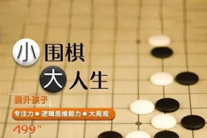 少儿围棋启蒙课