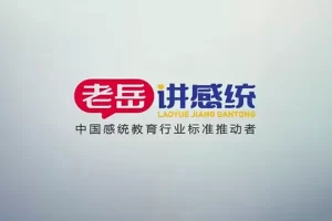 2021版《老岳讲感统》触觉按摩教程视频课程