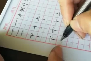 郭志新《硬笔书法入门》共12集视频课程