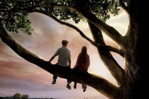 德拉安南《怦然心动》PDF电子书