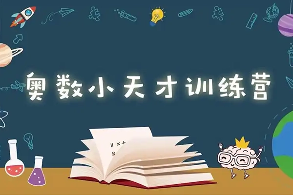 小小奥数达人中级全脑开发班