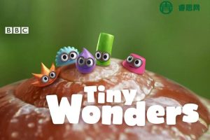 BBC科普英文动画《Tiny Wonders小奇迹》教娃学会观察、探索自然界的微小奇观