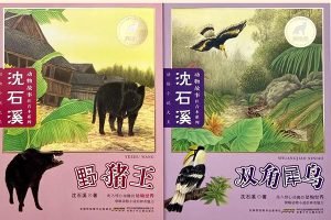 少儿读物《动物小说大王沈石溪品藏书系》沈石溪套装共26册PDF电子书