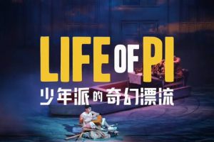 少儿读物《少年PI的奇幻漂流》扬·马特尔-插图珍藏版PDF电子书