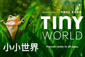 孩子一看就涨知识的儿童科普纪录片《小小世界Tiny world》英文版1-2季全12集