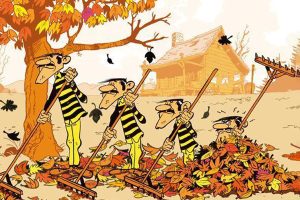 冒险搞笑动画片《逃亡的达尔顿兄弟 The Daltons》中文版全78集