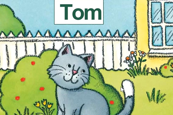 经典英语分级读物之《海尼曼Heinemann》系列PDF绘本+音频教学+视频教学全套资料