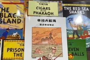 李岑《单词大航海：提早7年背完高考单词》