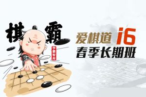 雷雯老师围棋课：爱棋道春季i6长期班32课时+4复习课