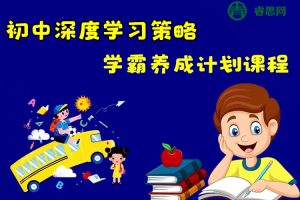 初中深度学习策略-学霸养成计划视频讲解课程