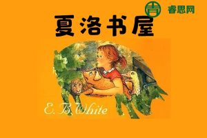 少年儿童优秀读物《夏洛书屋电子书大套装》套装共27本PDF电子书