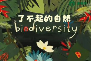 TED-ed《Awesome Nature了不起的自然》英文科普动画128集全(带外挂字幕)