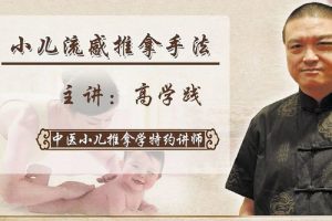高学践-宝妈必学小儿常见病的推拿治疗方法