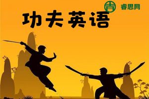 龙飞虎先生《功夫英语》全套视频课程