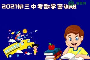 作业帮-2021初三中考数学密训班(王杭州、赵蒙蒙)