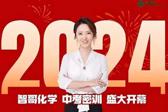 作业帮-2024届初三中考化学冲刺密训班