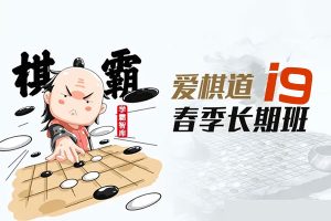 闻捷老师围棋课：爱棋道春季i9长期班32课时+4复习课