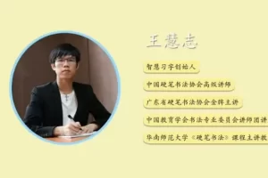 简小知王慧志硬笔书法课28节笔画课