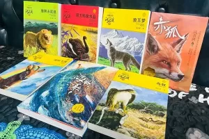 少儿读物《沈石溪动物小说感悟生命书系》沈石溪4册套装PDF电子书